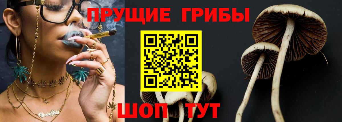 Мичуринск  хочу   Вход с VPN  Псилоцибиновые грибы Magic Shrooms 